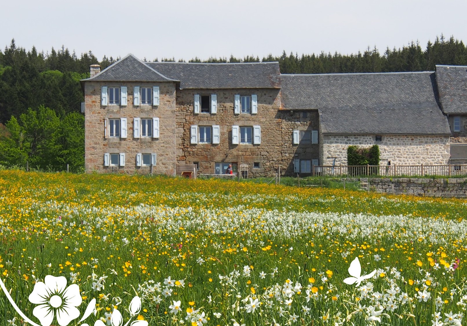 Visites guidées Domaine du Sauvage aux J.E.P._Chanaleilles