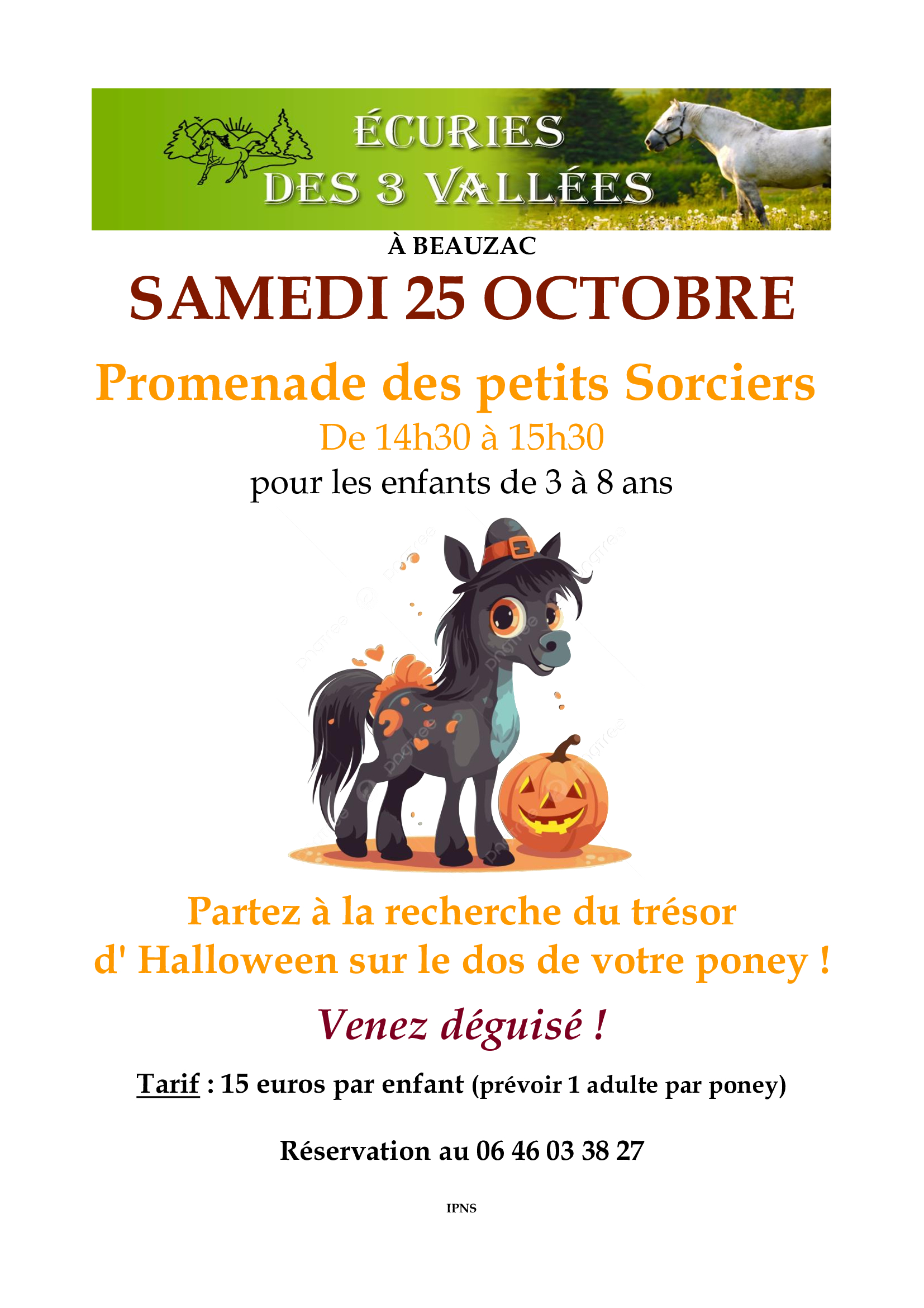 Promenade des petits sorciers à dos de poney_Beauzac