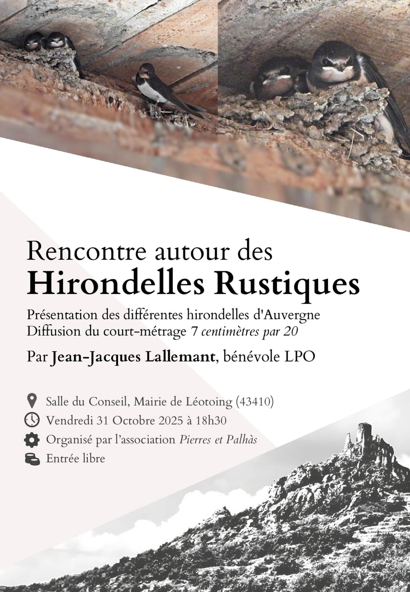 Rencontre autour des hirondelles rustiques_Léotoing