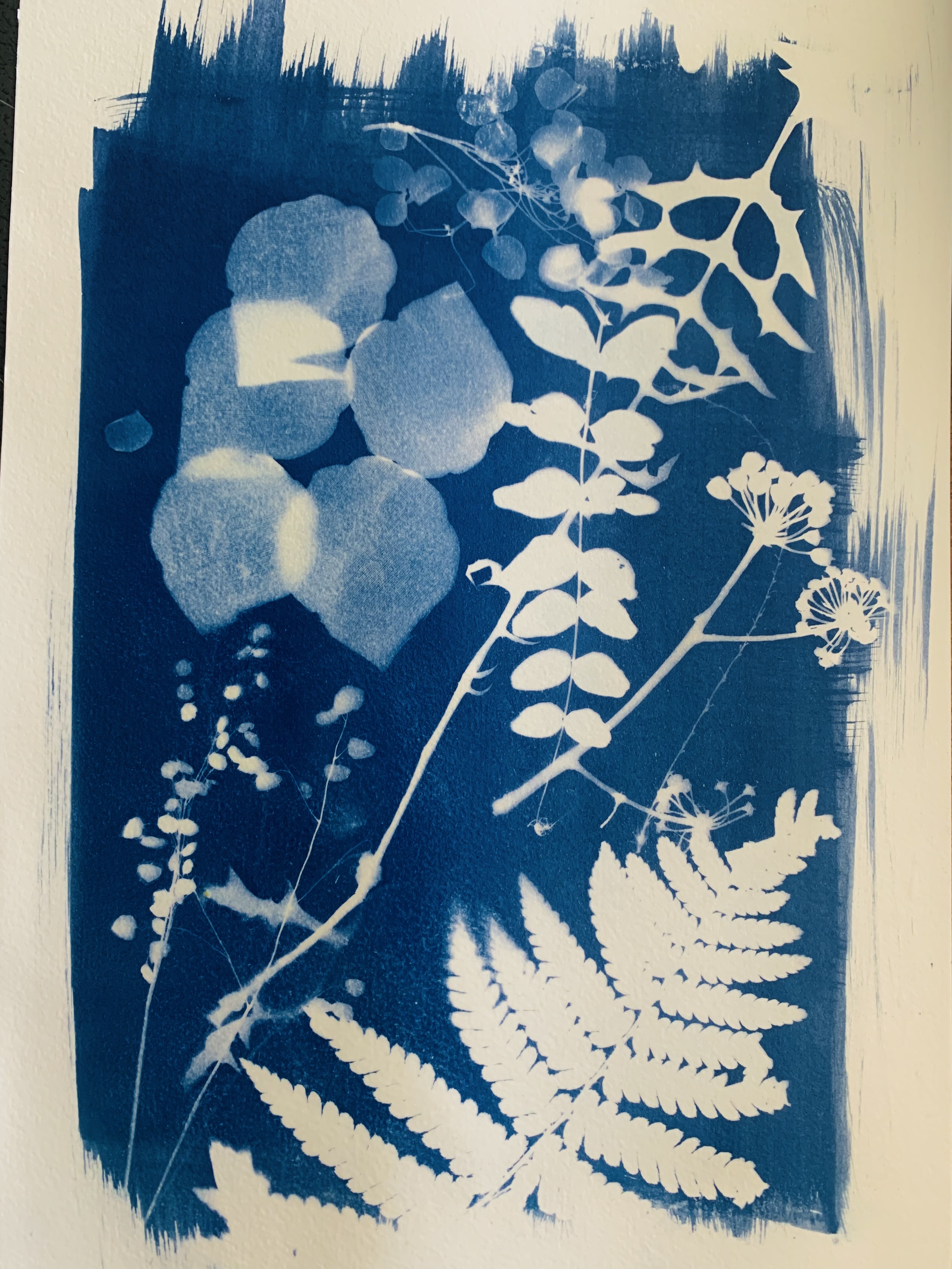 Atelier cyanotype_Tence
