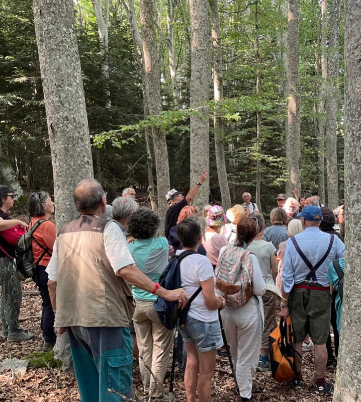 Lectures sous l'arbre - balade lecture avec Olivier Abel_Araules