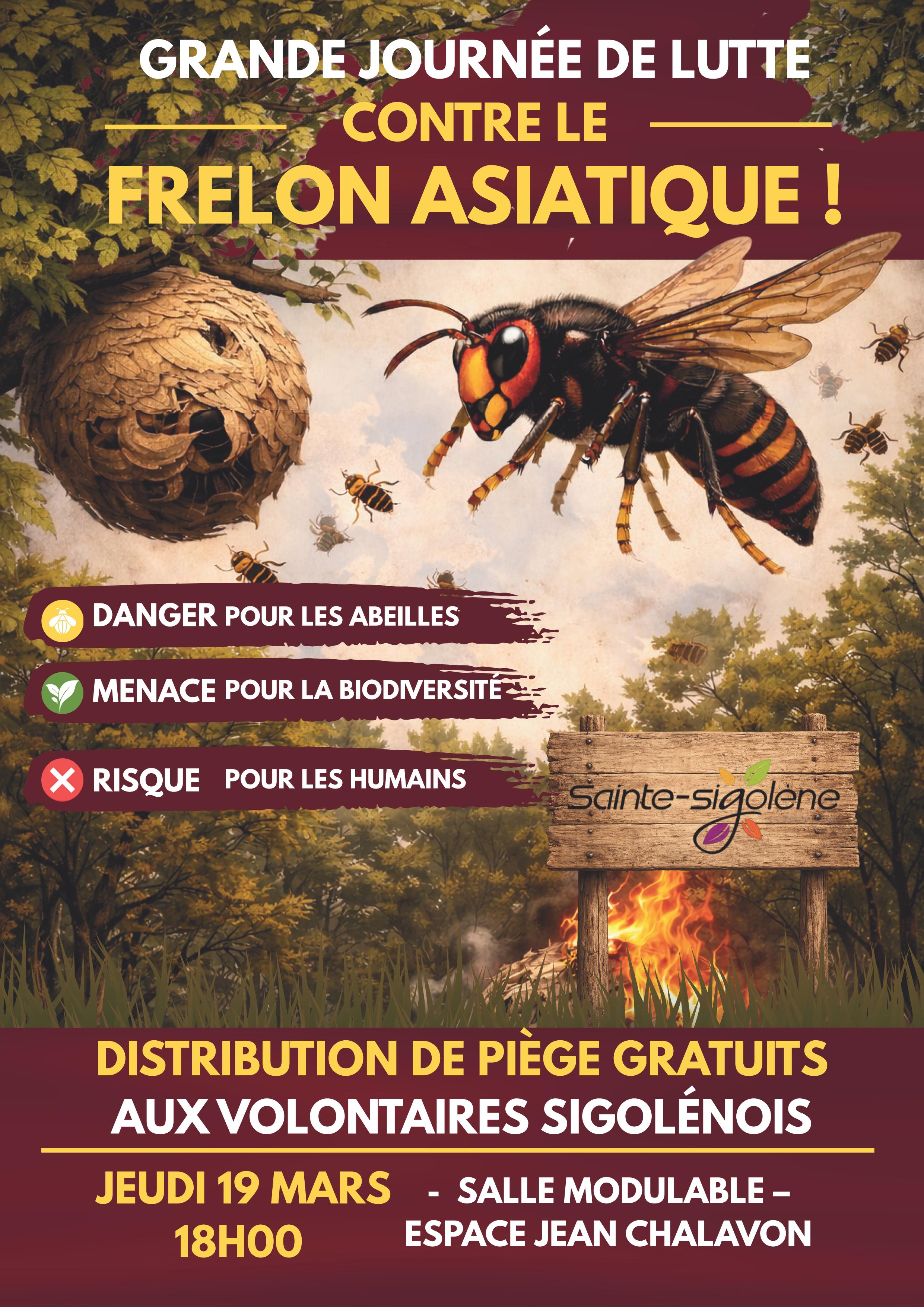 Réunion d'information frelon asiatique_Sainte-Sigolène