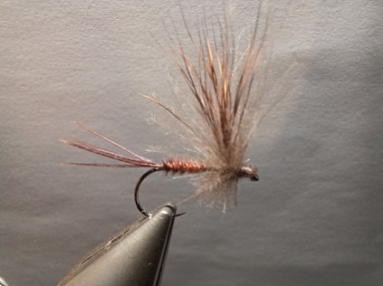 Découverte pêche à la mouche_Tence