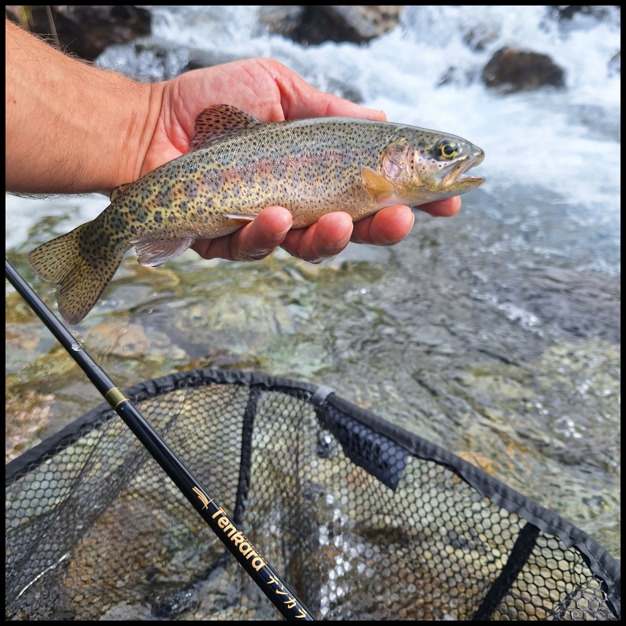Pêche au tenkara_Tence