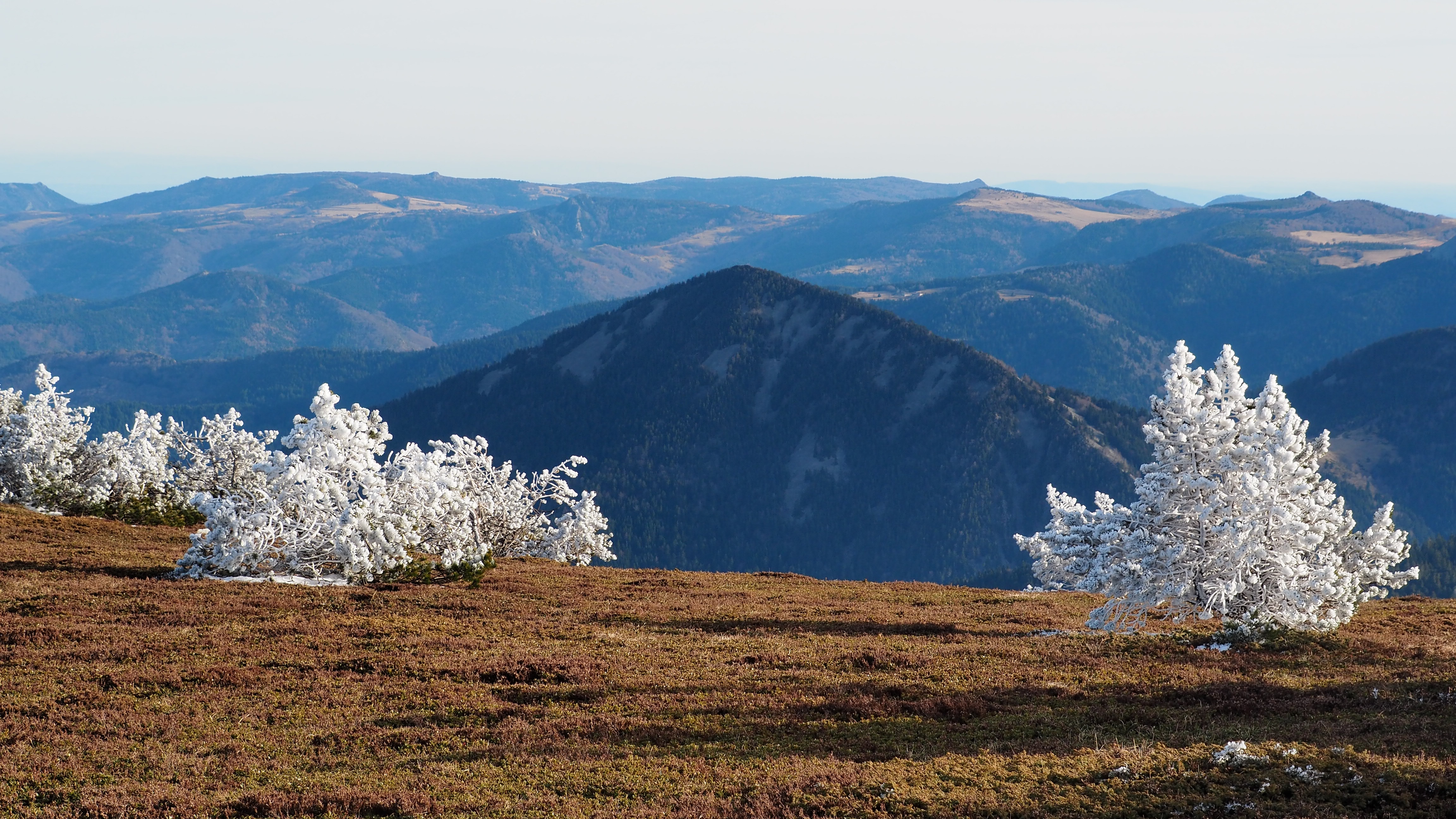 Photographies_Le Chambon-sur-Lignon