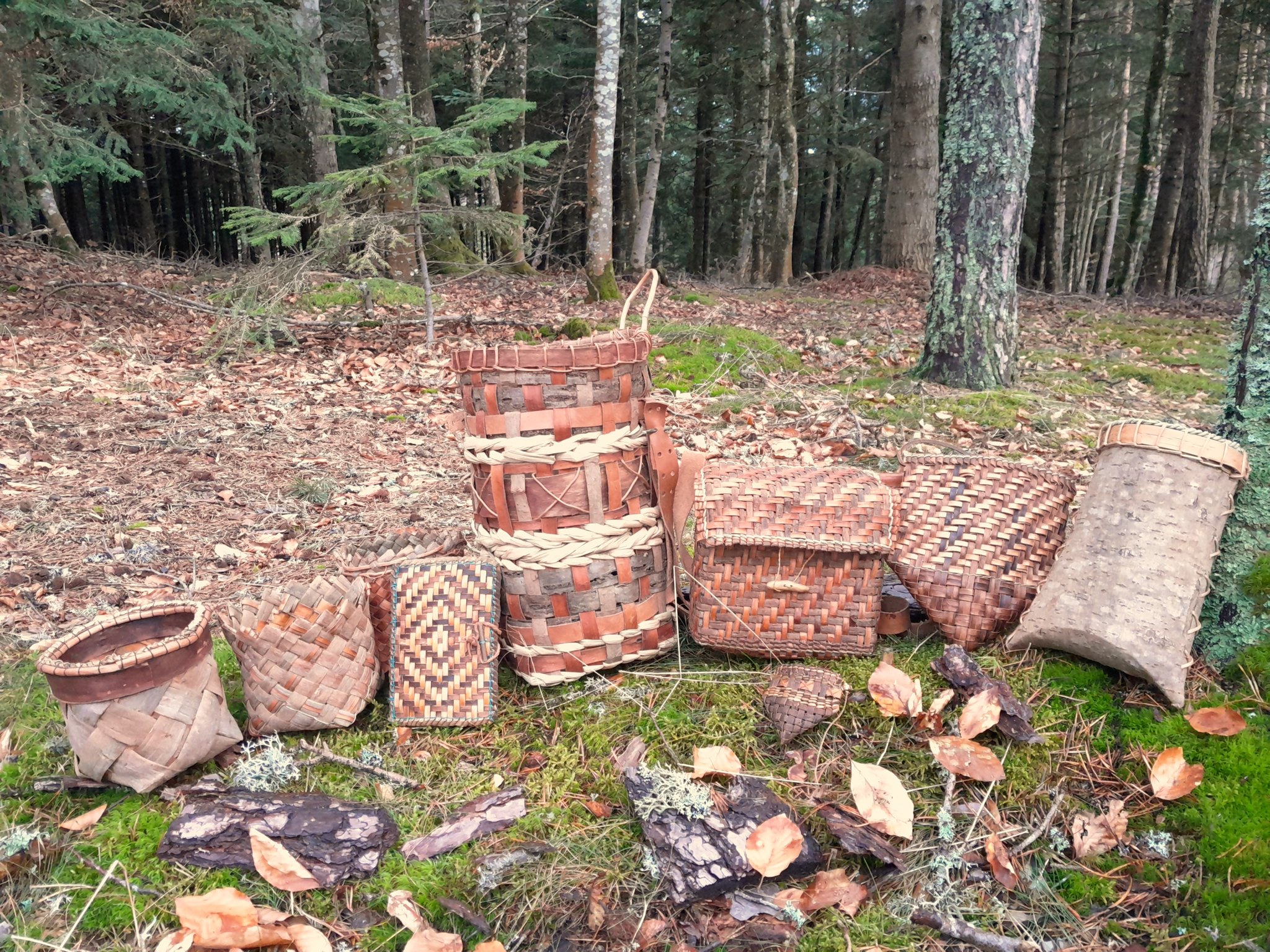 Atelier de vannerie : boîte en écorce_Sembadel