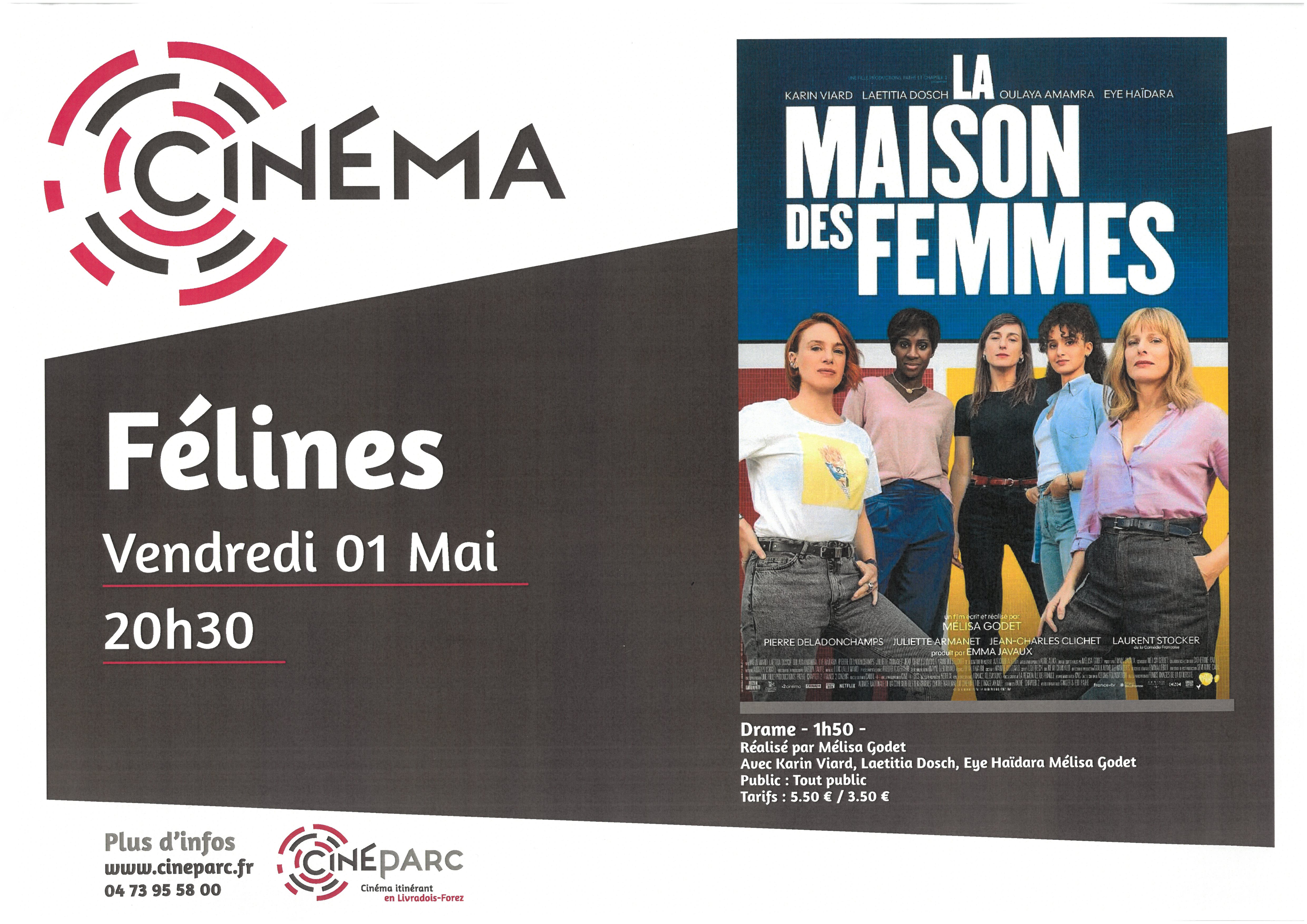 EVE-Ciné parc "La maison des femmes"-affiche