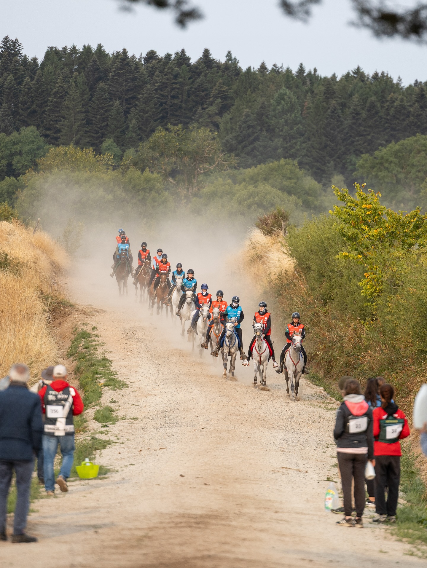 EVE_Le Raid des Pèlerins : concours international d'endurance équestre_Jullianges