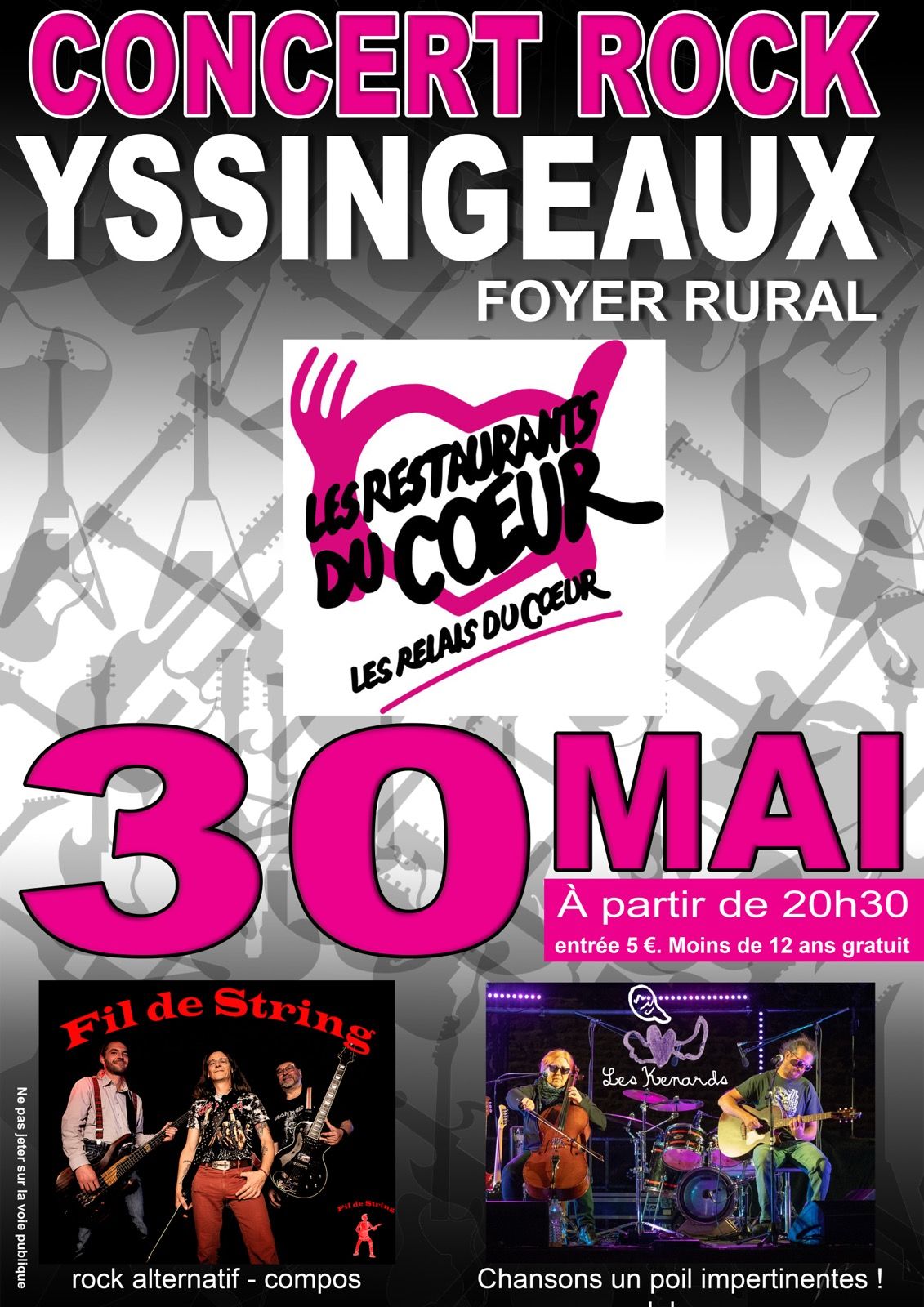 concert rock yssingeaux.jpg