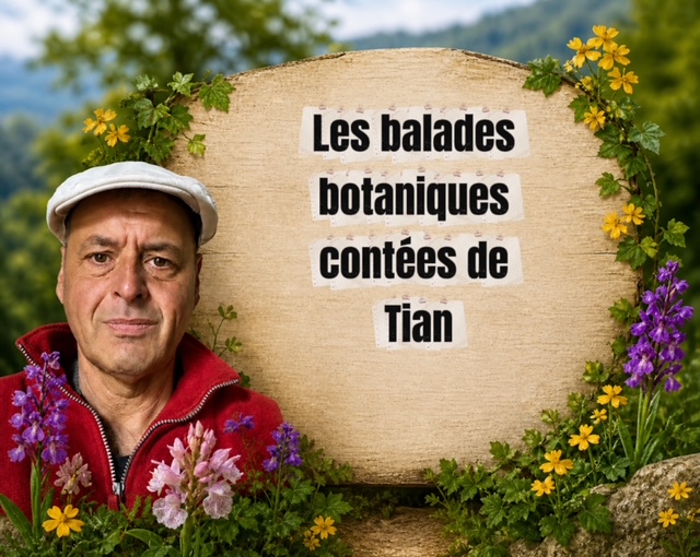 EVE-Balade botanique contée à La Chaise-Dieu_La Chaise-Dieu-Affiche