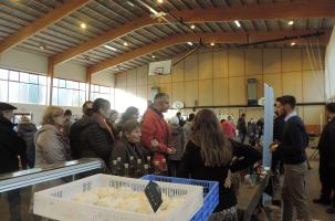 Foire gastronomique
