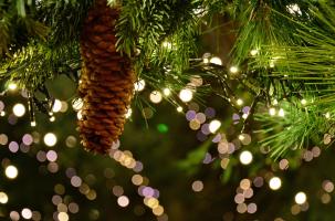 MarchéNoël MarchéNoël