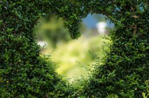 Nature Nature