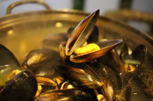 EVE_MoulesFrites EVE_MoulesFrites