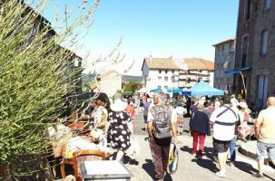 EVE_Marché des artisans et producteurs locaux_rue EVE_Marché des artisans et producteurs locaux_rue