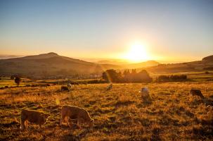Paysage Paysage