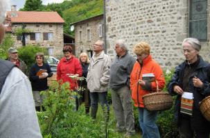 Clavari et Amis