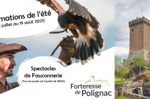 Spectacle les rapaces Spectacle les rapaces