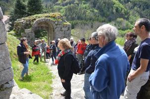 Visite