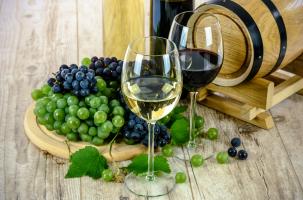 Festi'Vins