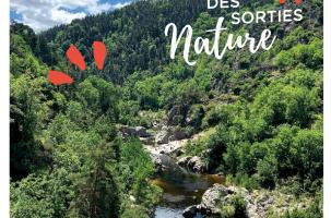 Sortie Nature Sortie Nature