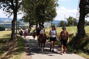chasse au trésor-écuriesdes3vallées_beauzac chasse au trésor-écuriesdes3vallées_beauzac