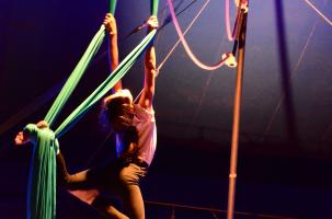 EVE_stagedétéartsducirque_saintesigolene