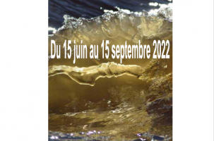 expo tour des Anglais