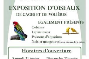 exposition d'oiseaux