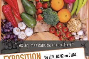 Exposition : les legumes dans tous leurs états