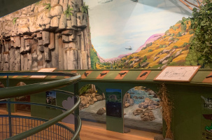maison des oiseaux