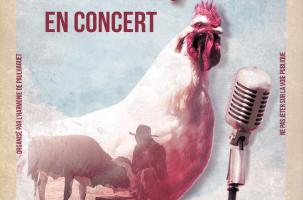 WAZOO EN CONCERT
