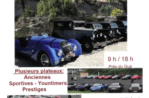 Concentration de voitures_Lavaudieu