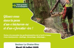 Vis ma vie de bûcheron_La Chaise-Dieu
