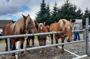 Foire aux Chevaux_Les Estables
