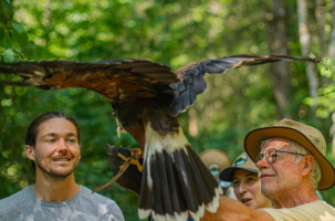 Balade en compagnie de rapaces et de Orion, le fauconnier_Bas-en-Basset