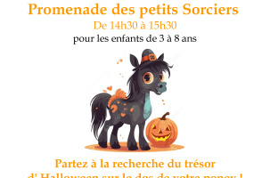 Promenade des petits sorciers à dos de poney_Beauzac