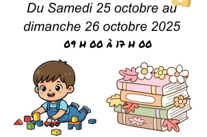 Grande vente de jouets, livres et puériculture_Retournac