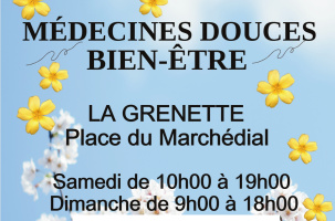 EVE_Salon Arzon Zen_Craponne-sur-Arzon