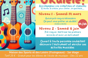 Mini stage Ukulélé - Niveau 1_Yssingeaux