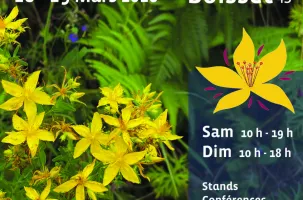 Salon Millepertuis, terre et thérapeute_Boisset