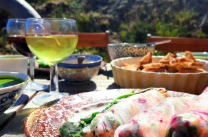 « Goûter le paysage » : découvrir les plantes sauvages comestibles  | CBN_Chavaniac-Lafayette