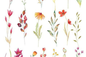 Visite du Jardin de Simples_Saint-Jeures