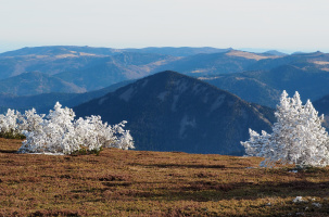 Photographies_Le Chambon-sur-Lignon