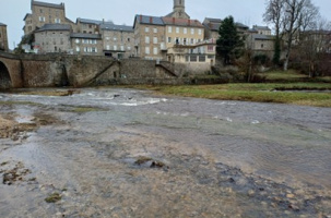 Animation pêche_Tence