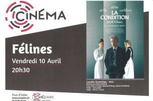 EVE-Ciné parc "La Condition"-affiche