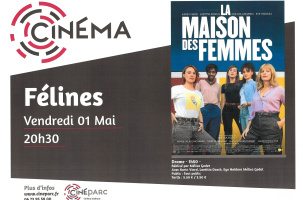 EVE-Ciné parc "La maison des femmes"-affiche