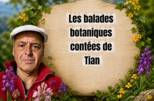EVE-Balade botanique contée à La Chaise-Dieu_La Chaise-Dieu-Affiche