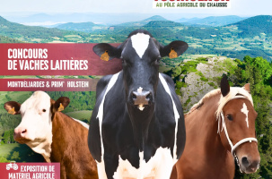 Comice Agricole des jeunes agriculteurs d'Yssingeaux_Yssingeaux