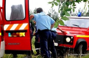 Ce jeudi 3 décembre 2020, vers 9h15, une automobiliste circulait sur la D103 entre Yssingeaux et Retournac quand, au niveau du radar de vitesse, elle a percuté un sanglier.